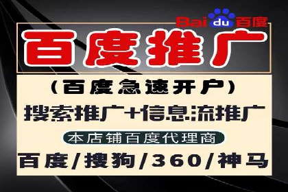 百度SEM代运营助力中小企业快速崛起